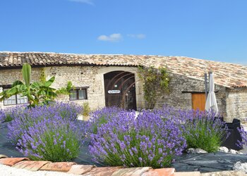 Meilleures maisons de vacances | Lit et petit déjeuné