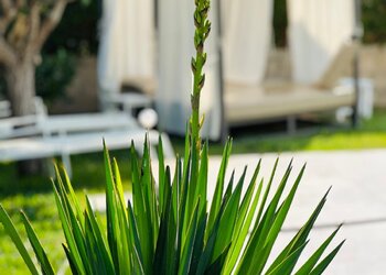 Meilleures maisons de vacances | Lit et petit déjeuné