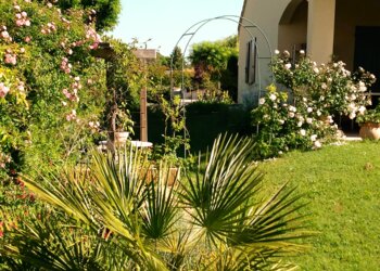 Meilleures maisons de vacances | Lit et petit déjeuné