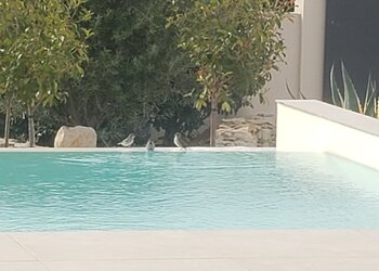 Meilleures maisons de vacances | Lit et petit déjeuné