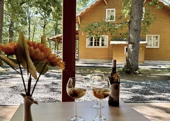 Meilleures maisons de vacances | Lit et petit déjeuné