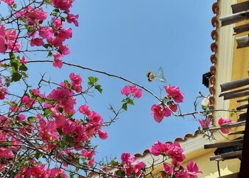 Meilleures maisons de vacances | Lit et petit déjeuné