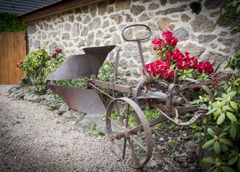 Meilleures maisons de vacances | Lit et petit déjeuné