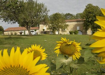 Meilleures maisons de vacances | Lit et petit déjeuné