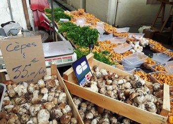 Meilleures maisons de vacances | Lit et petit déjeuné