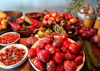 Meilleures maisons de vacances | Lit et petit déjeuné