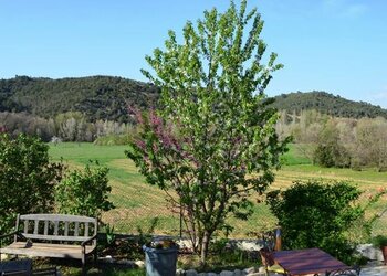 Meilleures maisons de vacances | Lit et petit déjeuné