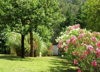 Meilleures maisons de vacances | Lit et petit déjeuné