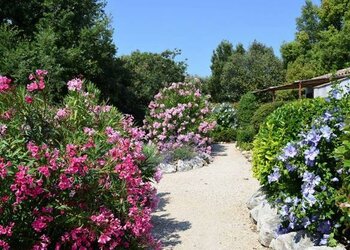 Meilleures maisons de vacances | Lit et petit déjeuné