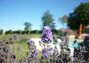 Meilleures maisons de vacances | Lit et petit déjeuné