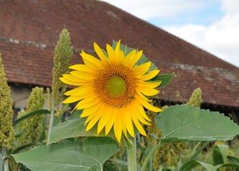 Meilleures maisons de vacances | Lit et petit déjeuné