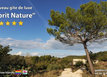 Top Vakantiehuizen | Bed and Breakfast