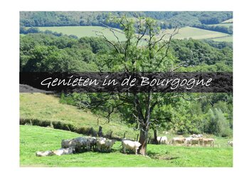 Top Vakantiehuizen | Bed and Breakfast