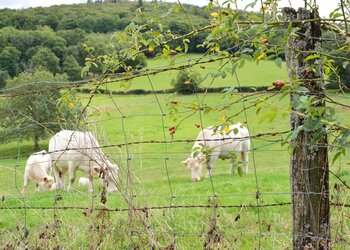 Top Vakantiehuizen | Bed and Breakfast
