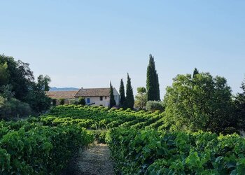 Top Vakantiehuizen | Bed and Breakfast