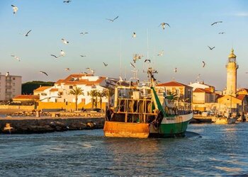 Top Vakantiehuizen | Bed and Breakfast