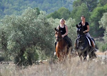 Top Vakantiehuizen | Bed and Breakfast