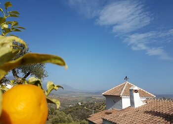 Top Vakantiehuizen | Bed and Breakfast