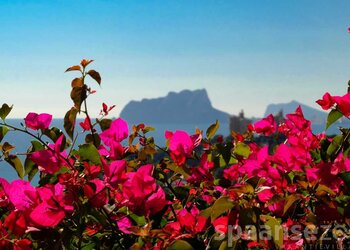 Top Vakantiehuizen | Bed and Breakfast