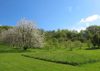 Top Vakantiehuizen | Bed and Breakfast