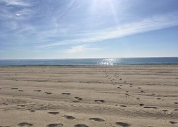 Top Vakantiehuizen | Bed and Breakfast
