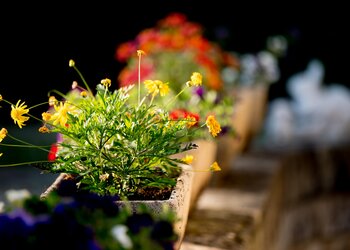Top Vakantiehuizen | Bed and Breakfast