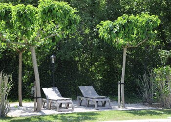 Top Vakantiehuizen | Bed and Breakfast