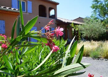 Top Vakantiehuizen | Bed and Breakfast