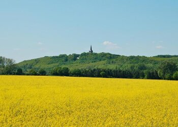 Top Vakantiehuizen | Bed and Breakfast