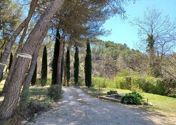 Top Vakantiehuizen | Bed and Breakfast