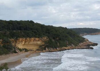 Top Vakantiehuizen | Bed and Breakfast