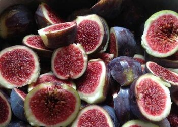 Top Vakantiehuizen | Bed and Breakfast