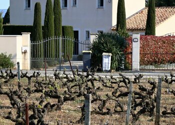 Top Vakantiehuizen | Bed and Breakfast