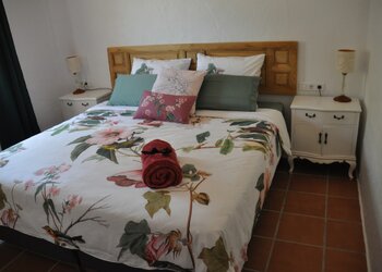 Top Vakantiehuizen | Bed and Breakfast