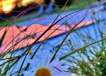 Top Vakantiehuizen | Bed and Breakfast