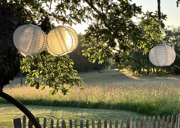 Top Vakantiehuizen | Bed and Breakfast