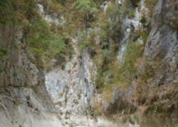 Top Vakantiehuizen | Bed and Breakfast