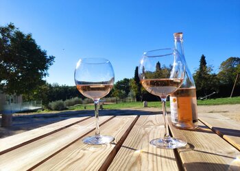 Top Vakantiehuizen | Bed and Breakfast