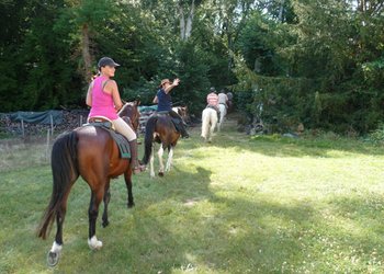 Top Vakantiehuizen | Bed and Breakfast