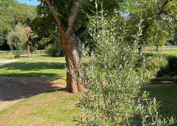 Top Vakantiehuizen | Bed and Breakfast