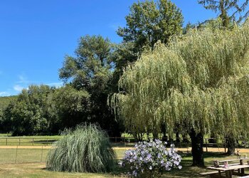 Top Vakantiehuizen | Bed and Breakfast