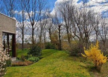 Top Vakantiehuizen | Bed and Breakfast