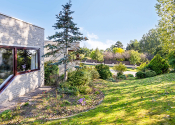 Top Vakantiehuizen | Bed and Breakfast
