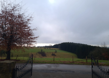Top Vakantiehuizen | Bed and Breakfast