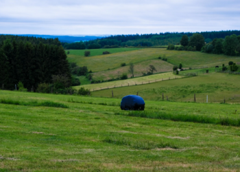 Top Vakantiehuizen | Bed and Breakfast