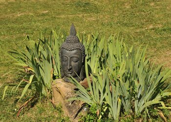 Top Vakantiehuizen | Bed and Breakfast