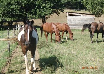 Top Vakantiehuizen | Bed and Breakfast