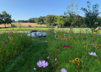 Top Vakantiehuizen | Bed and Breakfast