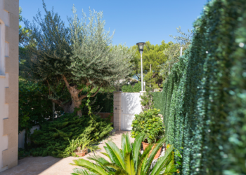 Top Vakantiehuizen | Bed and Breakfast