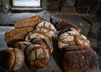 Top Vakantiehuizen | Bed and Breakfast